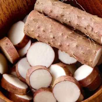 Wild Yam Extract